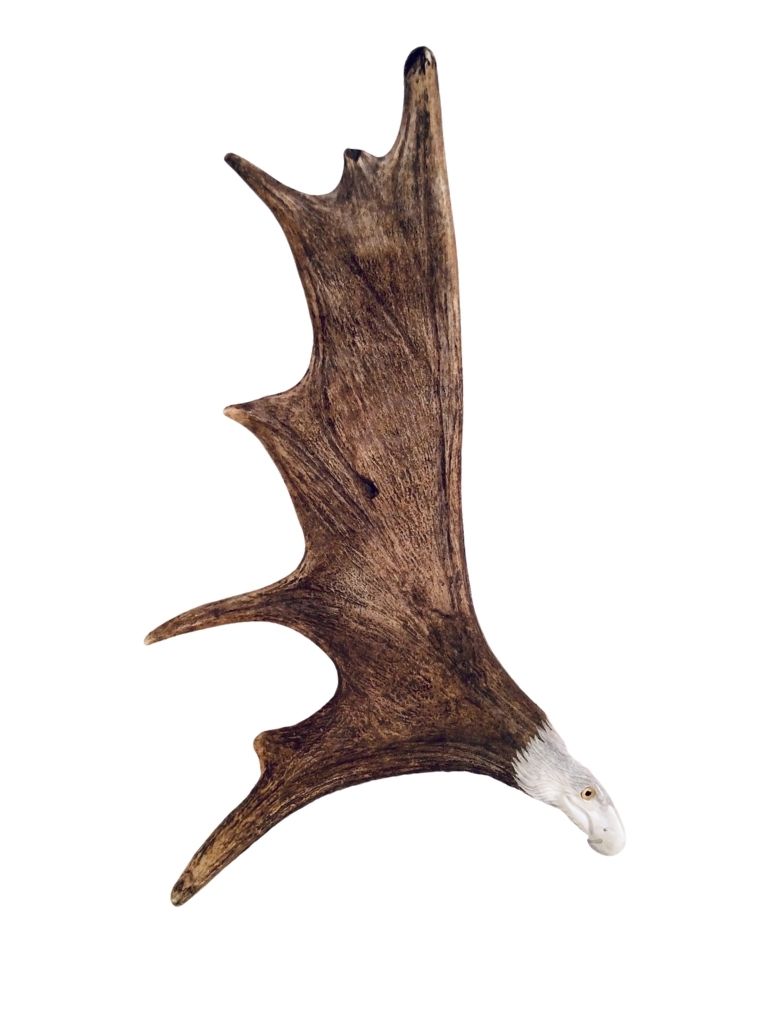 Unique Antler Design