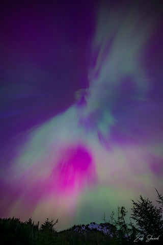 PHOENIX AURORAS 12X18 PHOTOGRAPH ON METAL