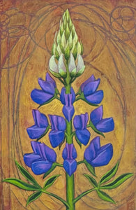 LUPINE 3.5 X 5.25 INCH BLOCK