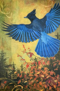 STELLER'S JAY 3.5 X 5.25 INCH BLOCK