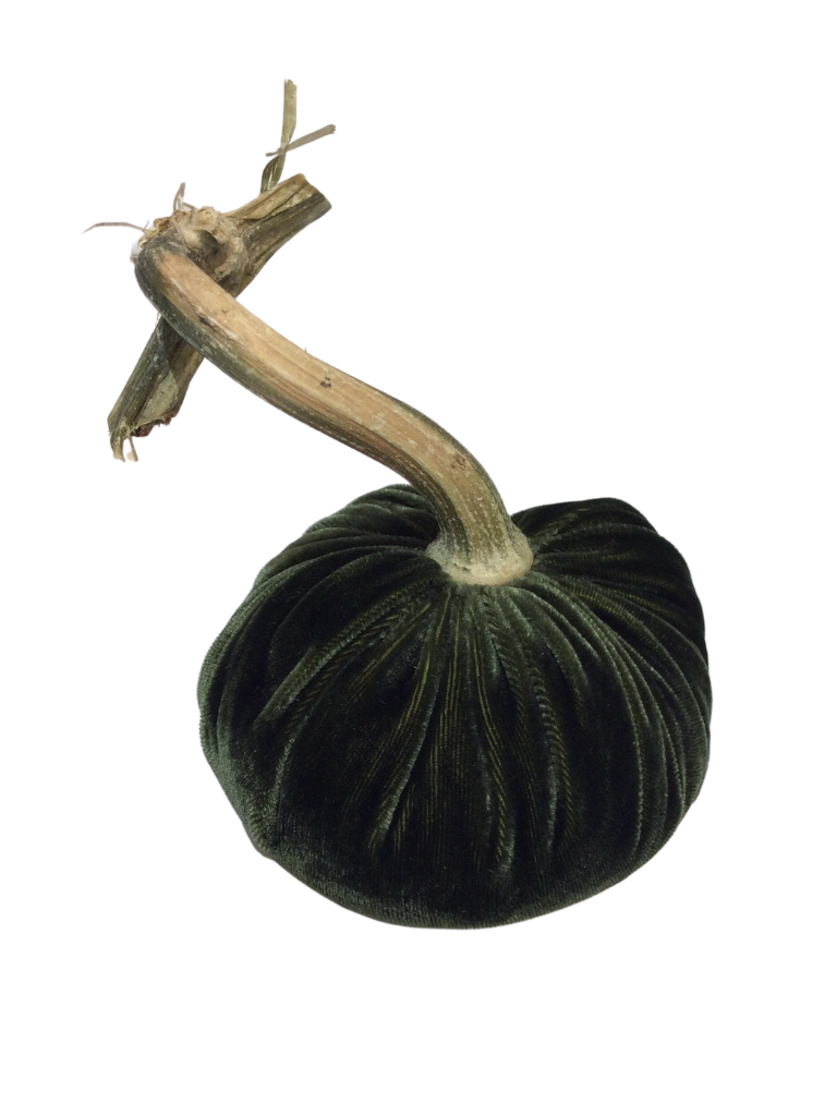 MOSS VELVET PUMPKIN 4"