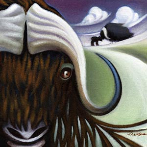 Musk Ox